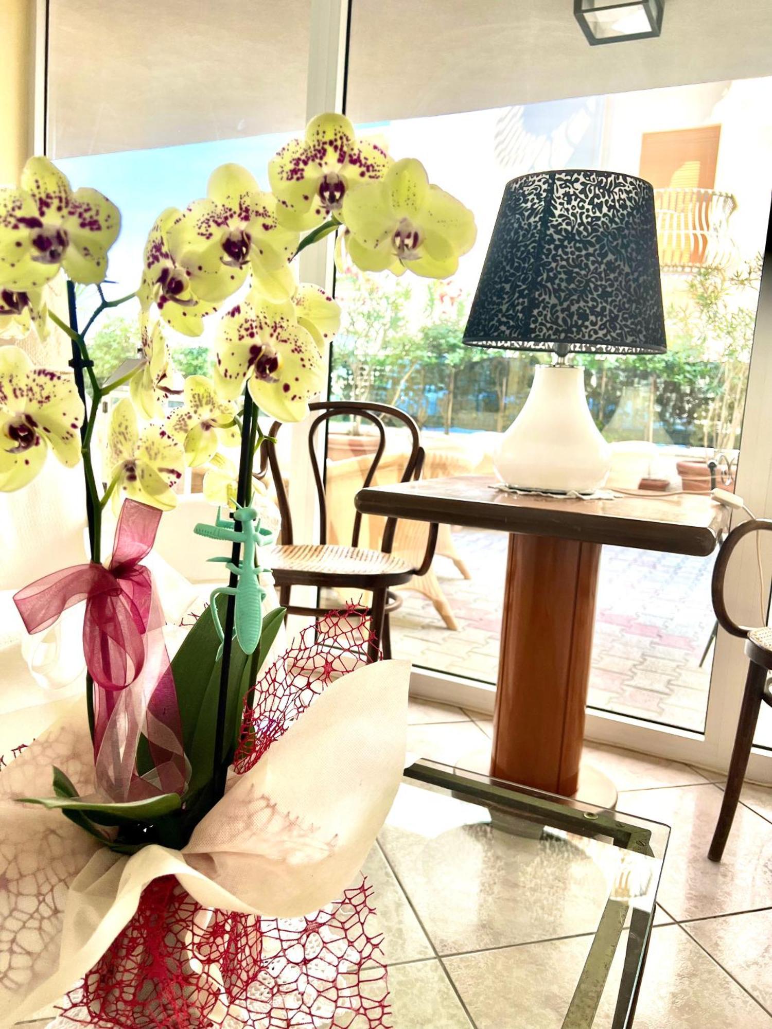 Montecarlo Hotel 3*